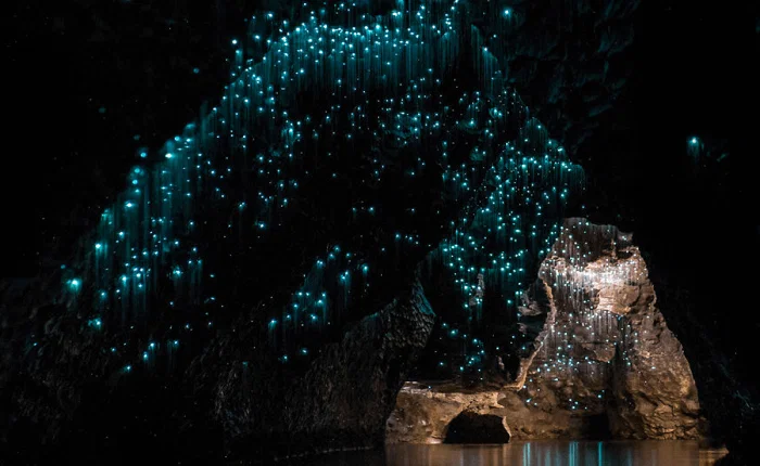 Glow Worm Caves