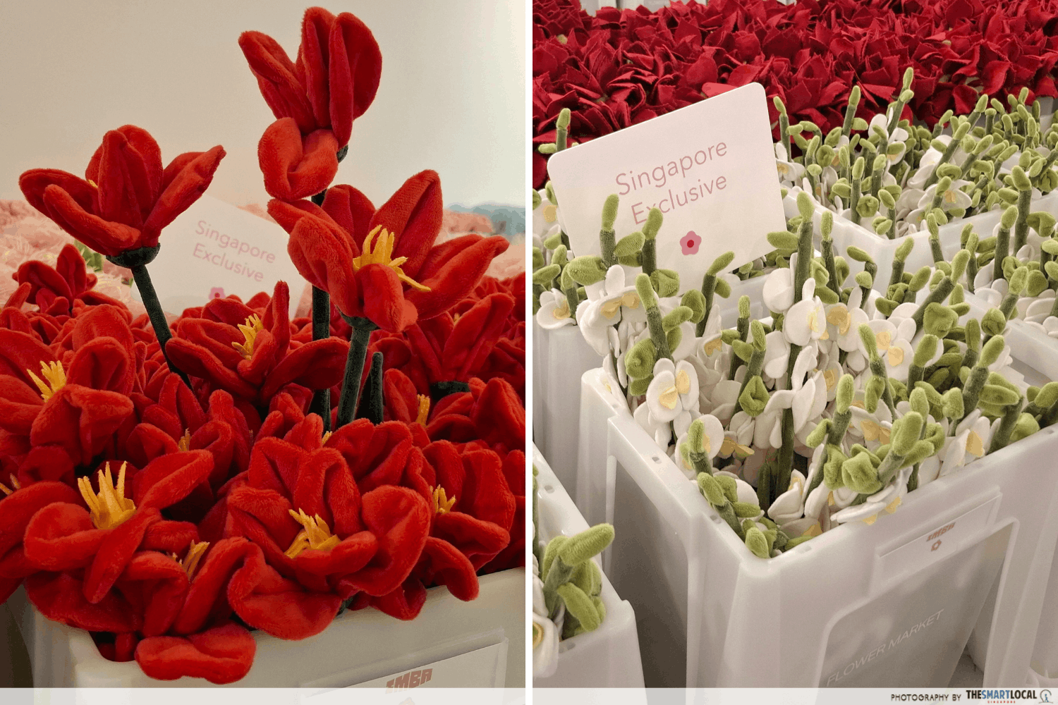 Cj Hendry's Flower Market - Singapore Exclusives