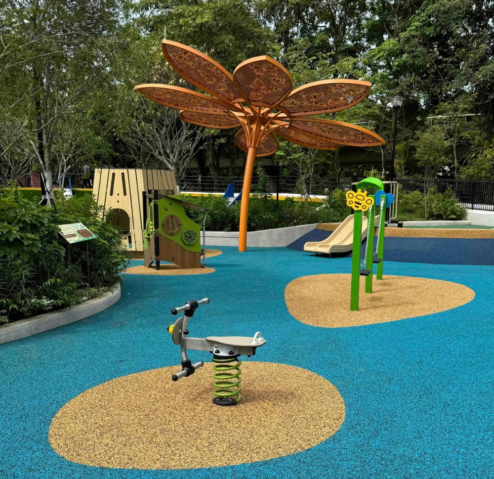 Magical Bridge Playground - Colours