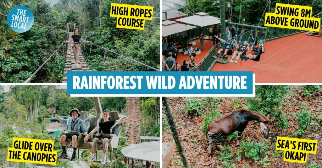 Rainforest Wild Adventure East - Cover
