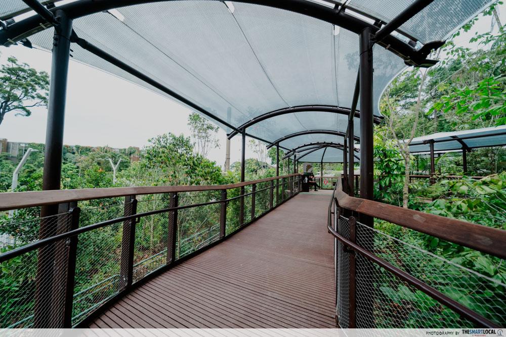 Rainforest Wild Adventure East - Elevated walkways