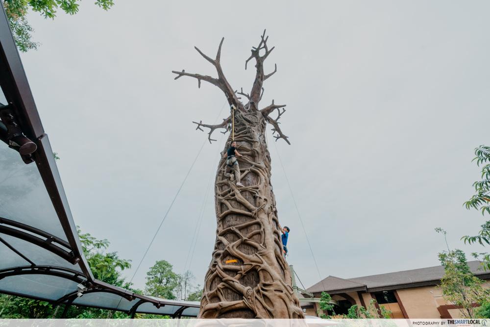 Rainforest Wild Adventure East - Primate Climb