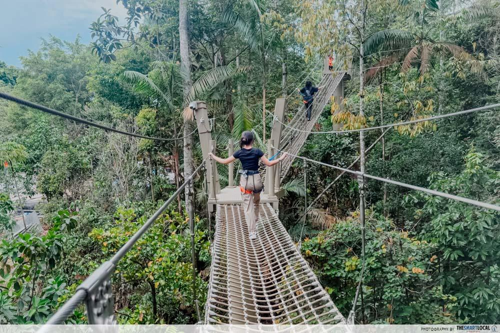 Rainforest Wild Adventure East - Treetop Traverse (1)