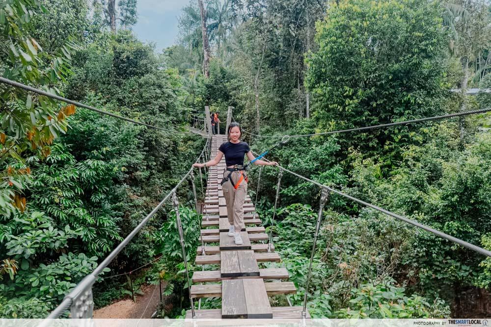 Rainforest Wild Adventure East - Treetop Traverse (2)