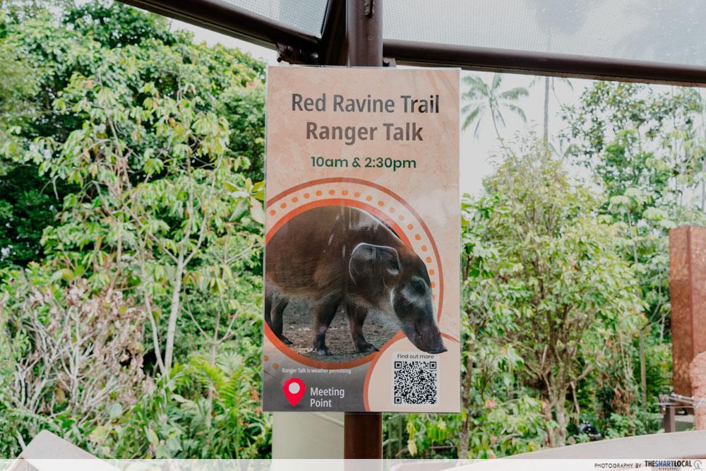 Rainforest Wild Adventure East - ranger talk meeting point