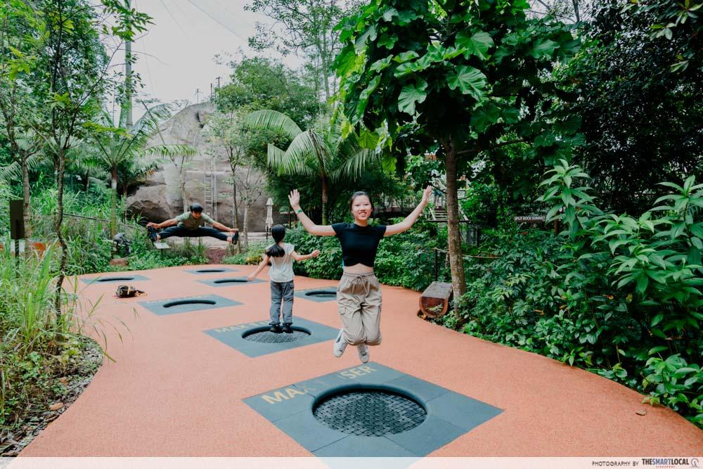 Rainforest Wild Adventure East - trek