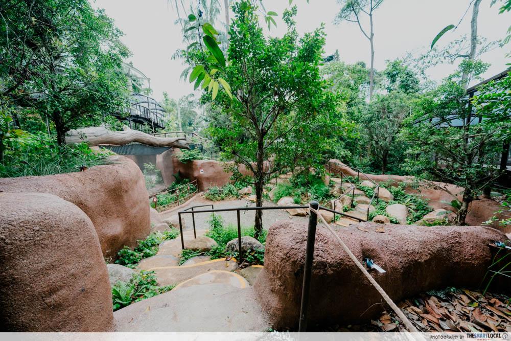 Rainforest Wild Adventure East - trek
