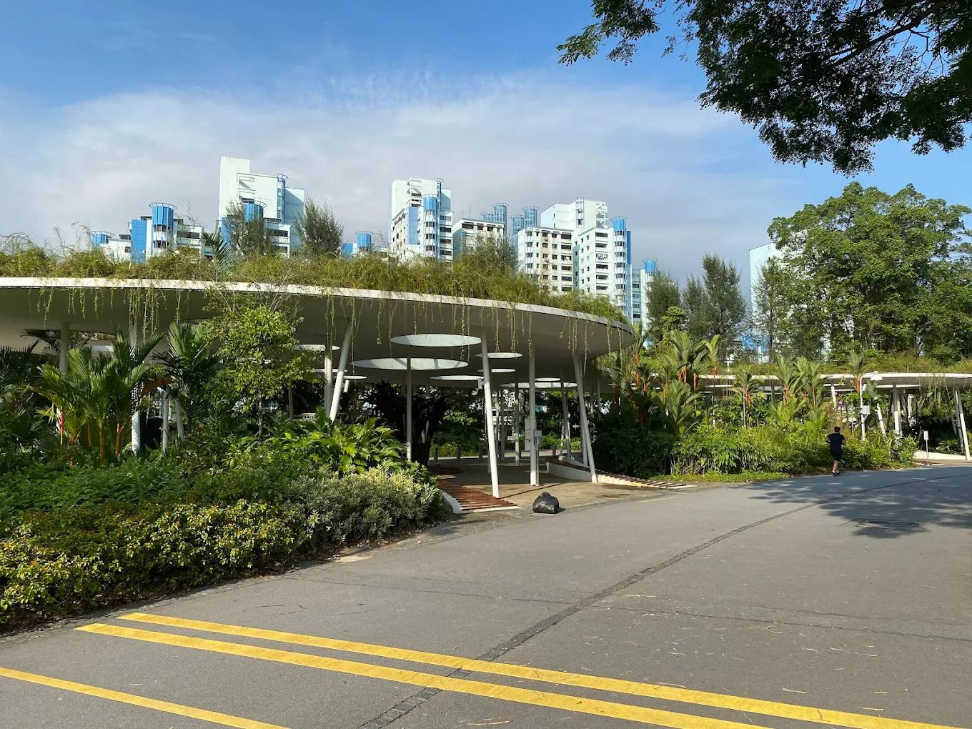 Rollerblading trails Singapore - Jurong Lake Gardens