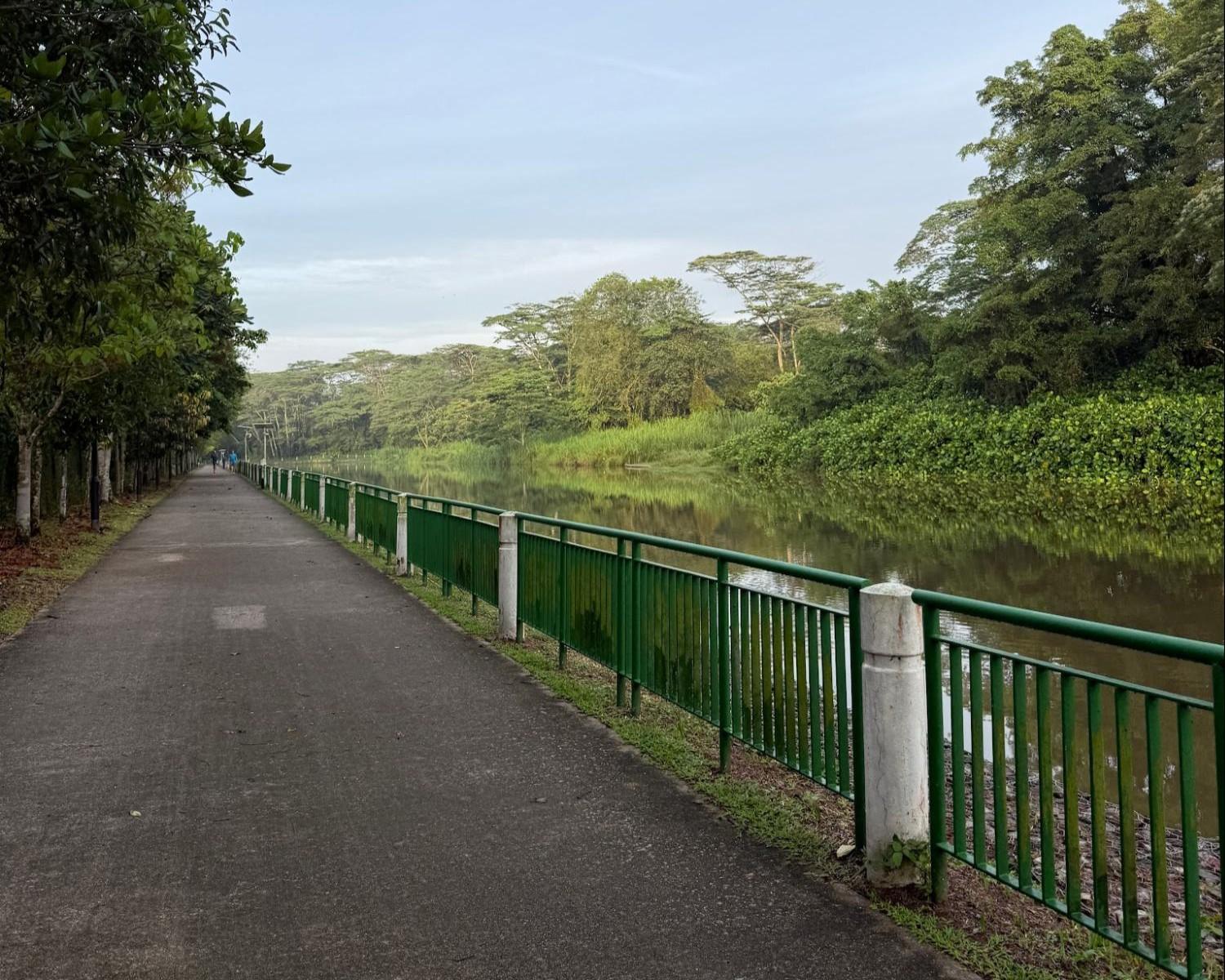 Rollerblading trails Singapore - Springleaf Park Connector