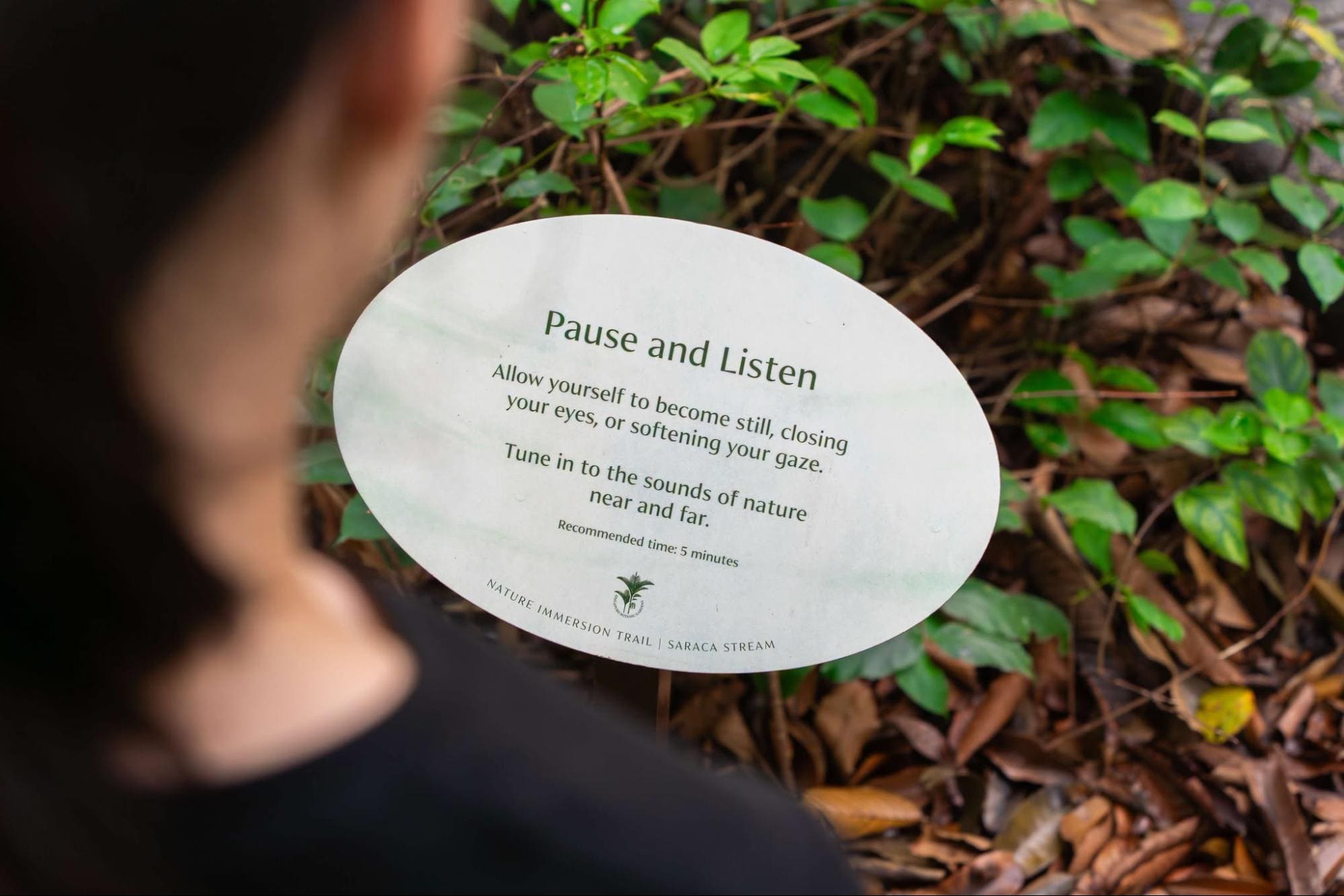 Prompts along the Nature Immersion Trail