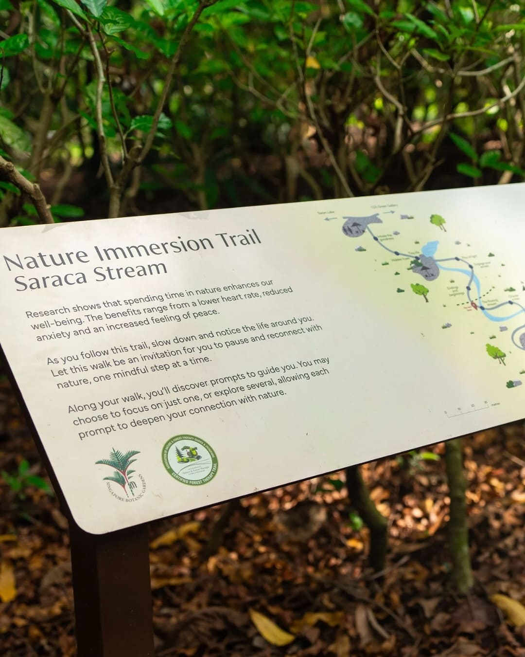 Nature Immersion Trail introduction board