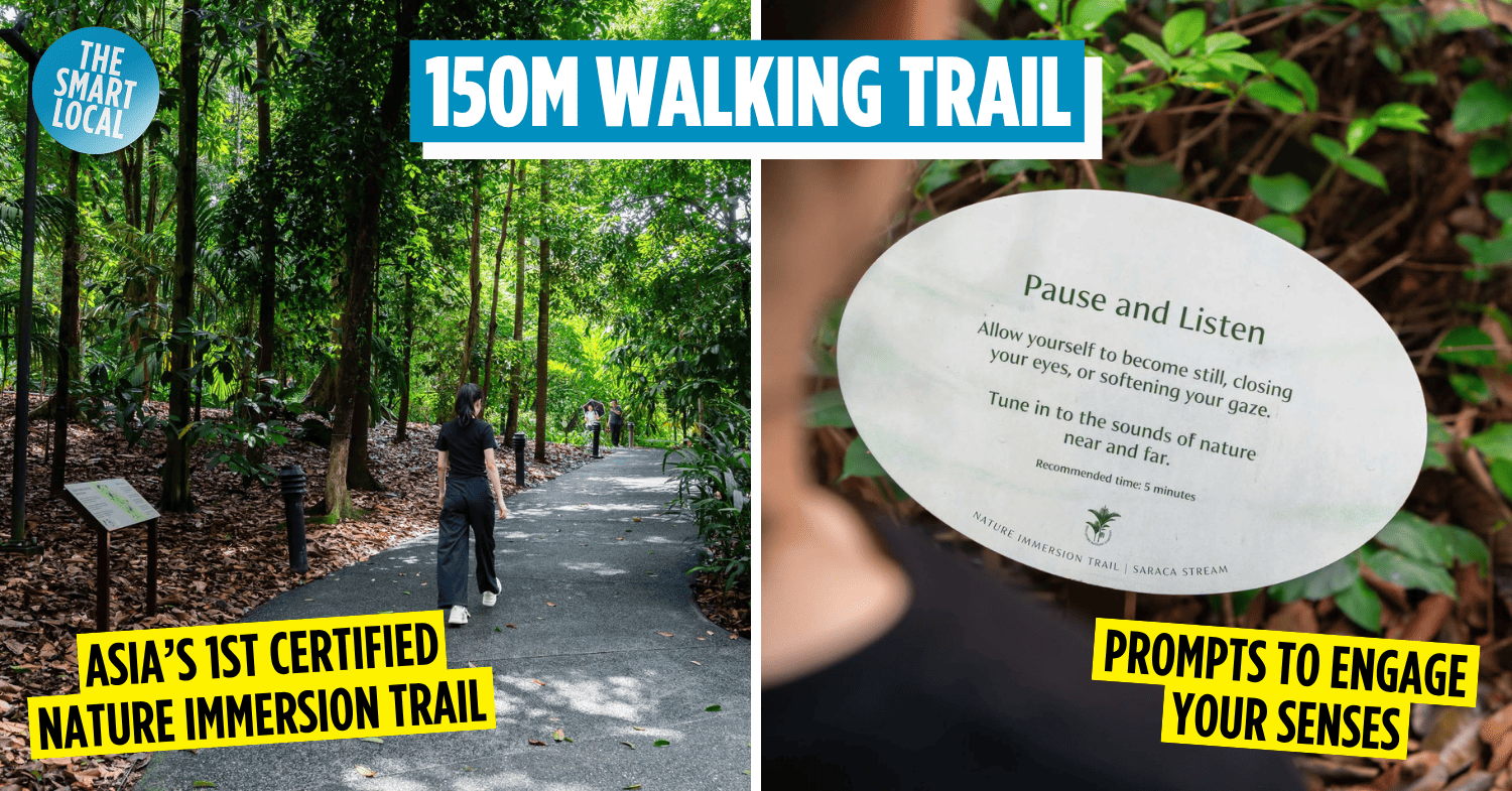 The New Immersive Nature Trail At Botanic Gardens Lets You Touch Grass & Forest Bathe Your Stress Away