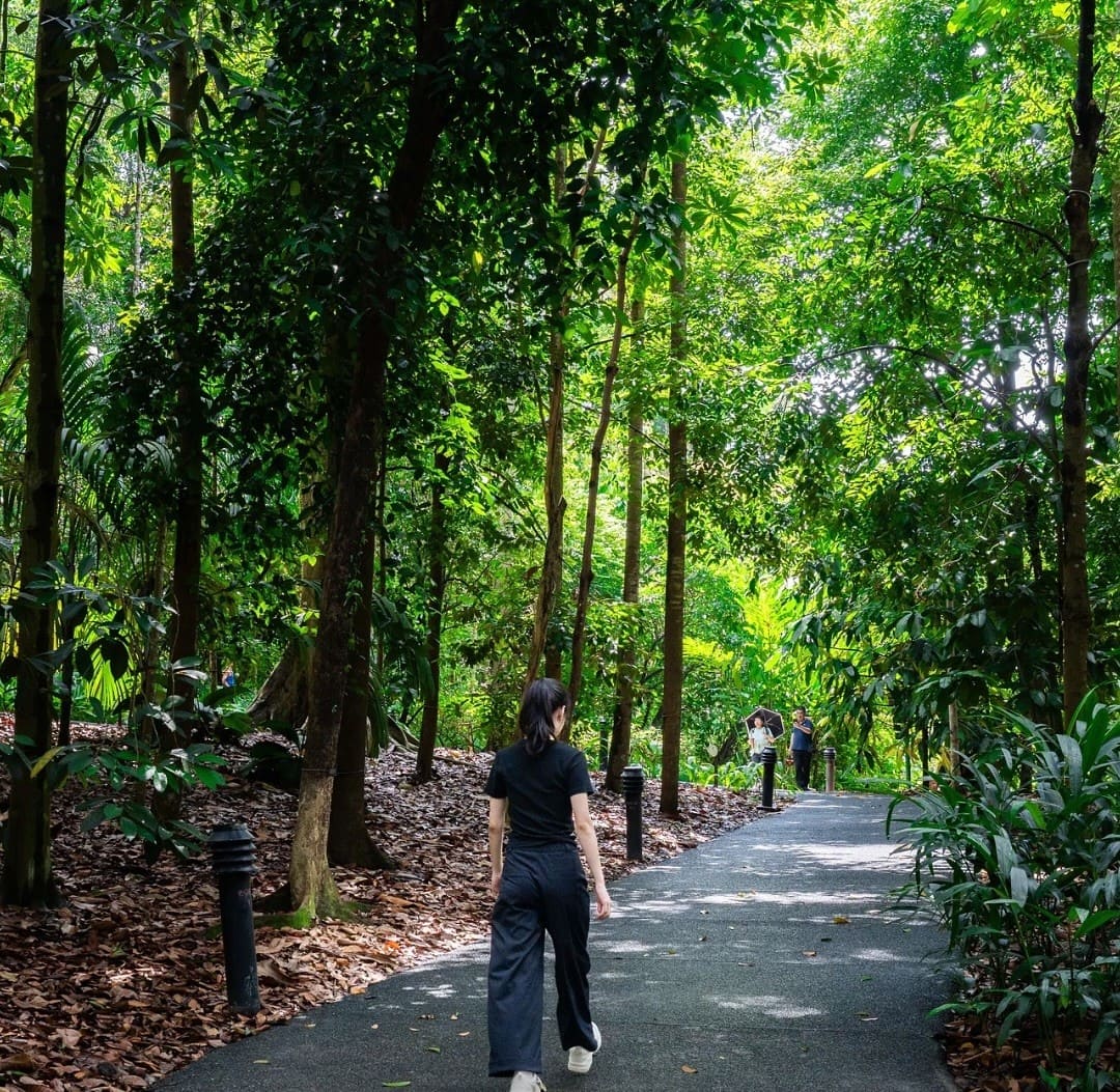 Strolling down the Nature Immersion Trail