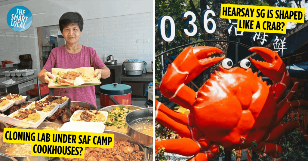 Singapore conspiracy theories