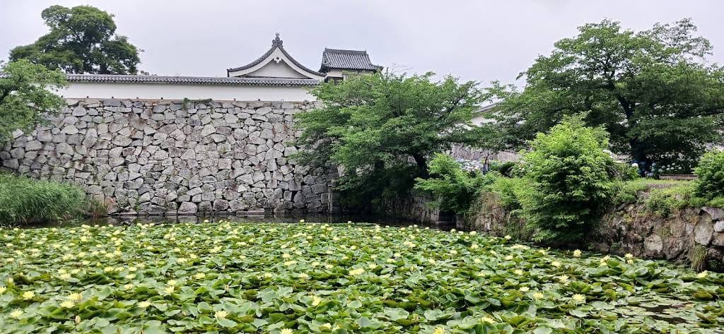 things to do in fukuoka - fukuoka castle ruins