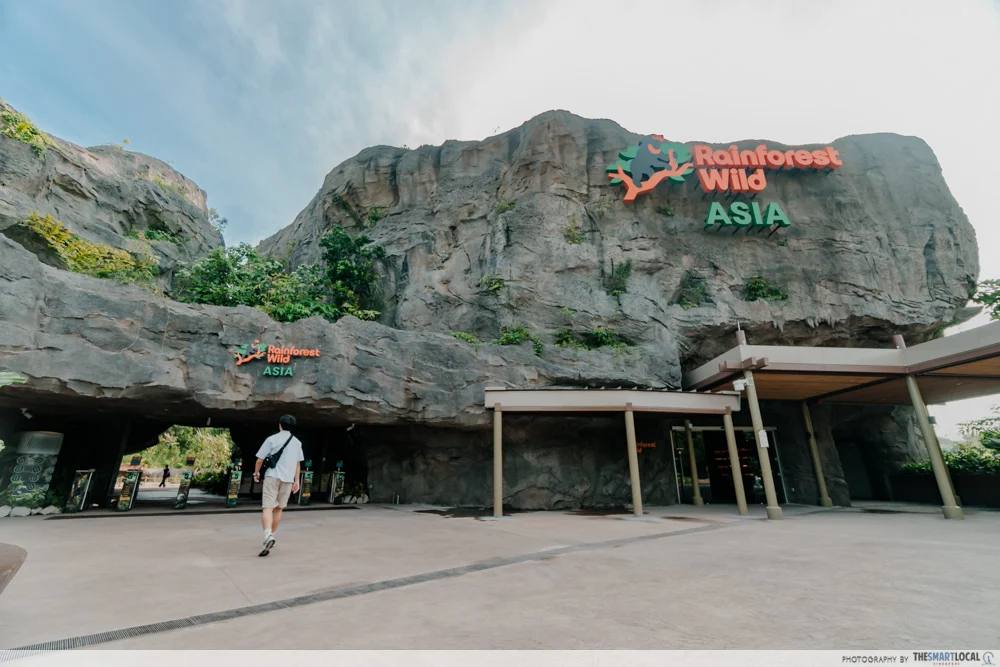 Rainforest Wild Asia