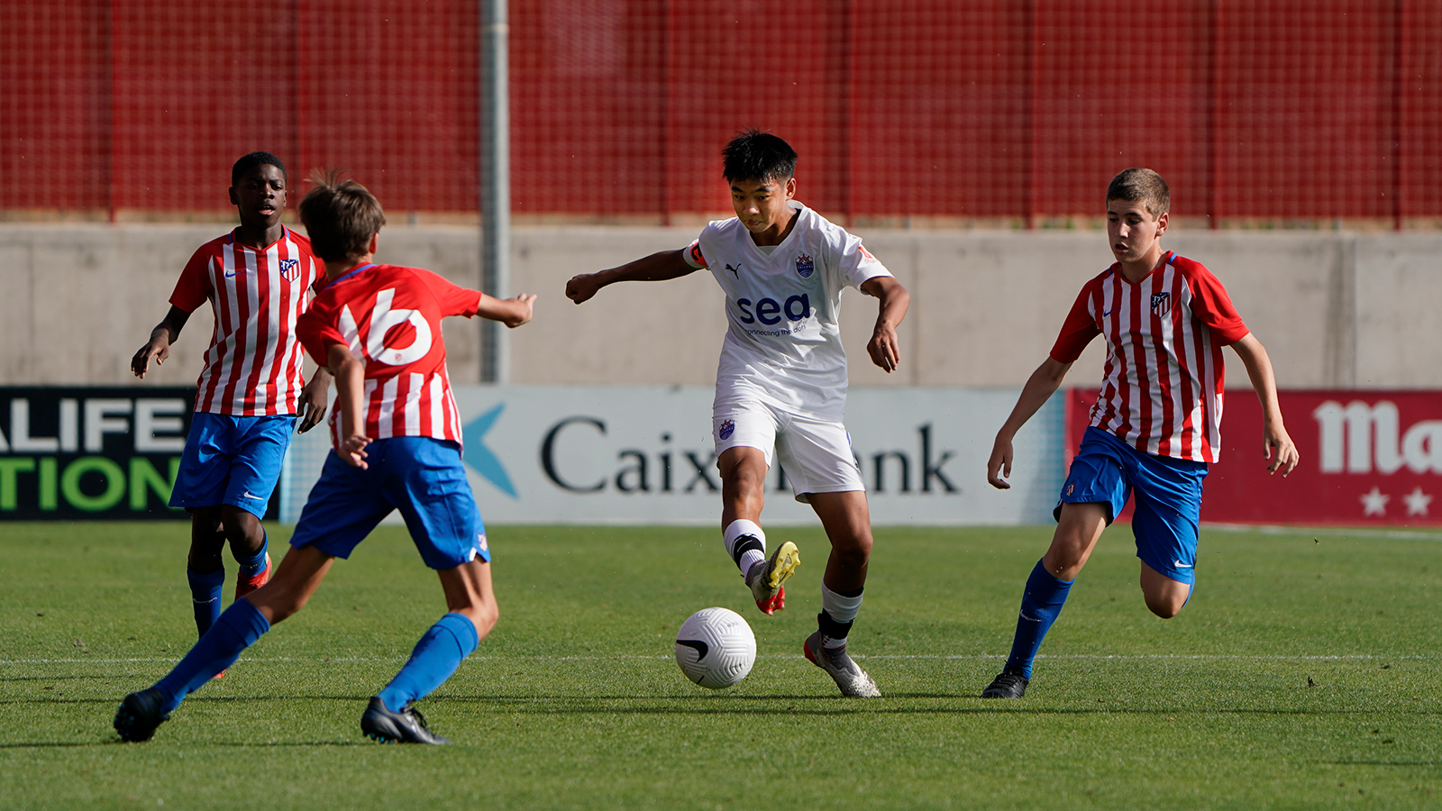 Lion City Sailors Football Academy