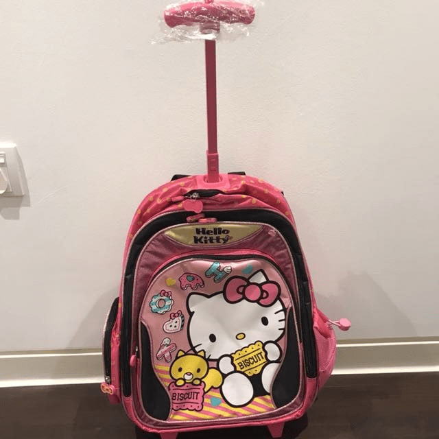 Trolley bag