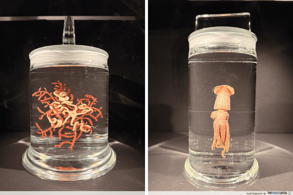 exhibitions