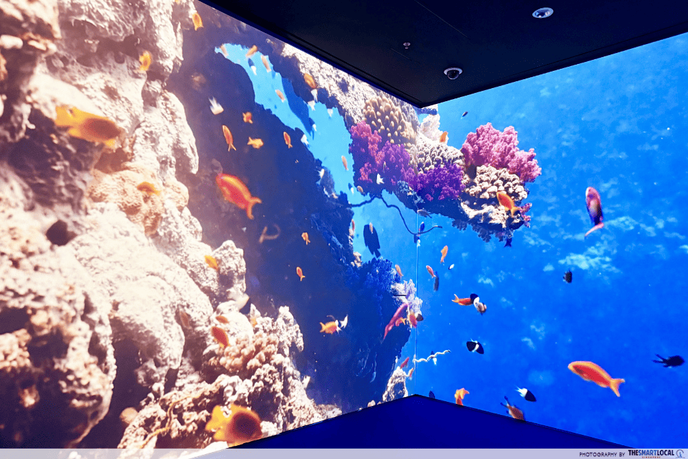 Coral Reefs
