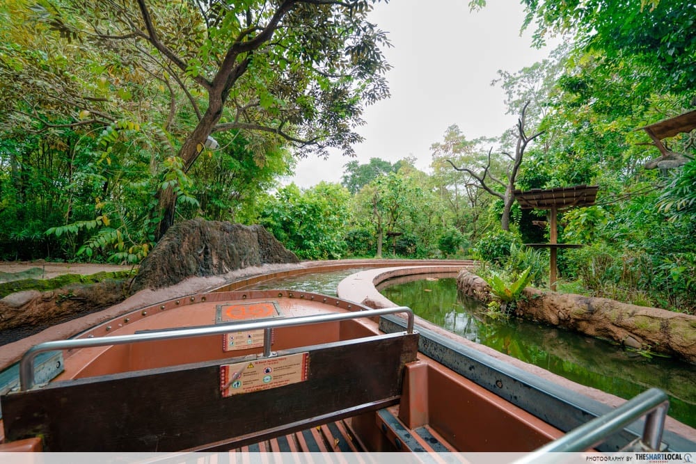 Amazon River Quest
