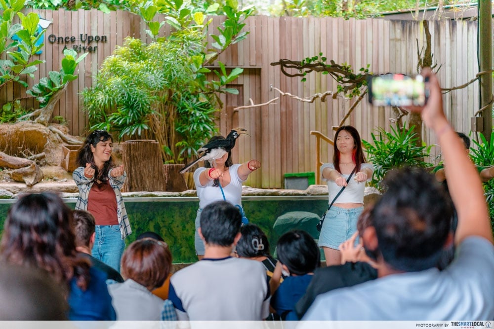 Animal show