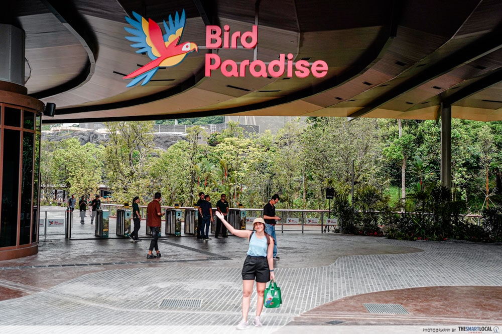 Bird Paradise