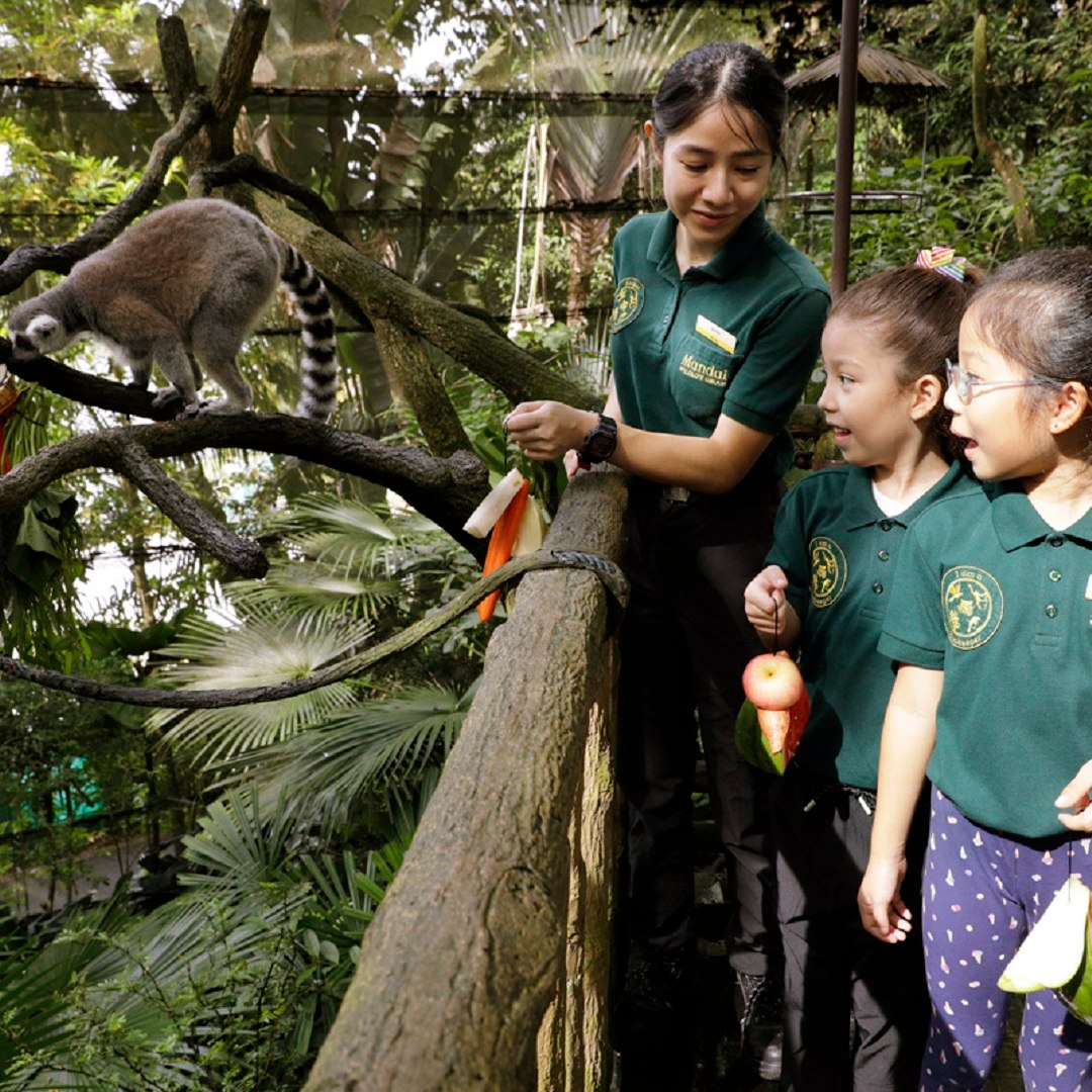 Be a zookeeper for a day