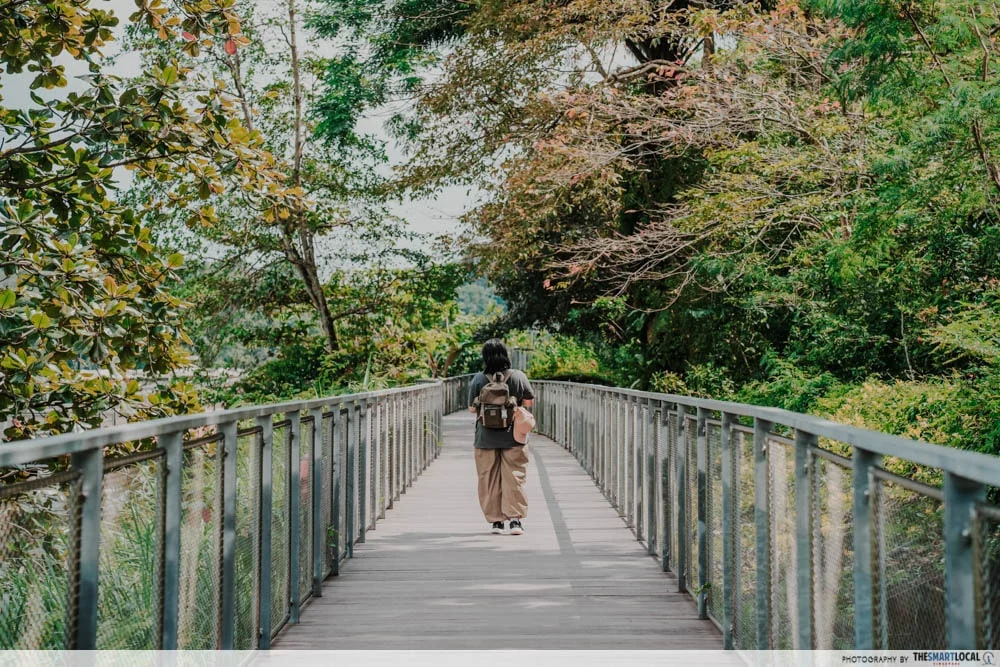 Mandai Boardwalk