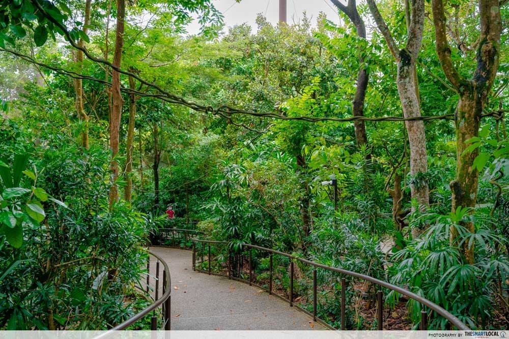 Amazonia Encounters