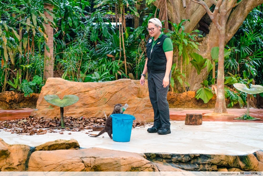 Animal presentation