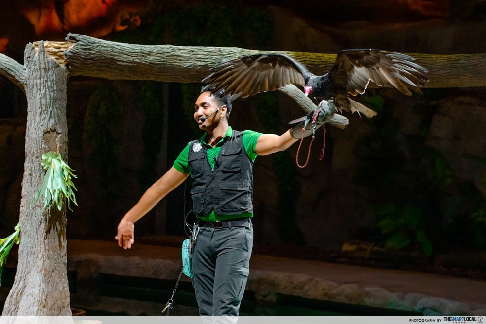 Animal show