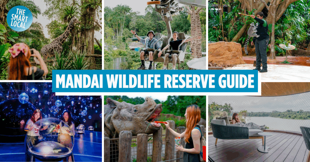 Mandai Wildlife Reserve guide cover image