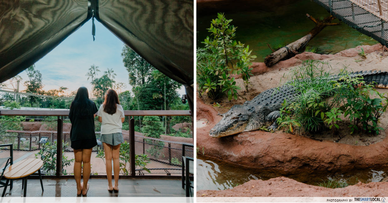 Crocodile Lodge