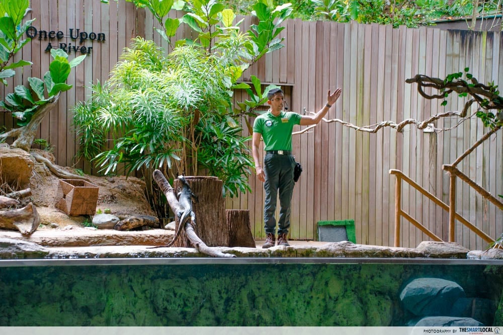 Animal show