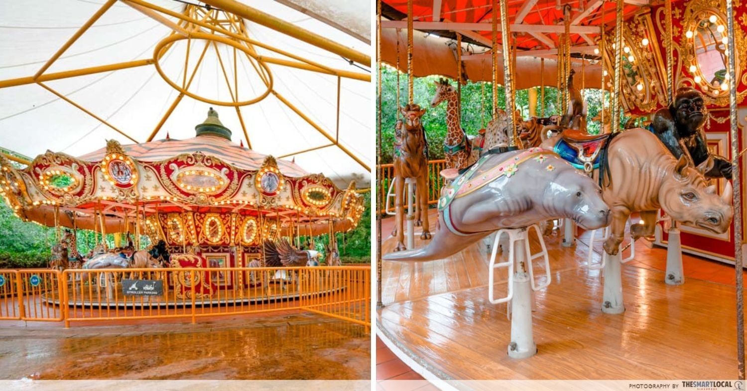 Rides
