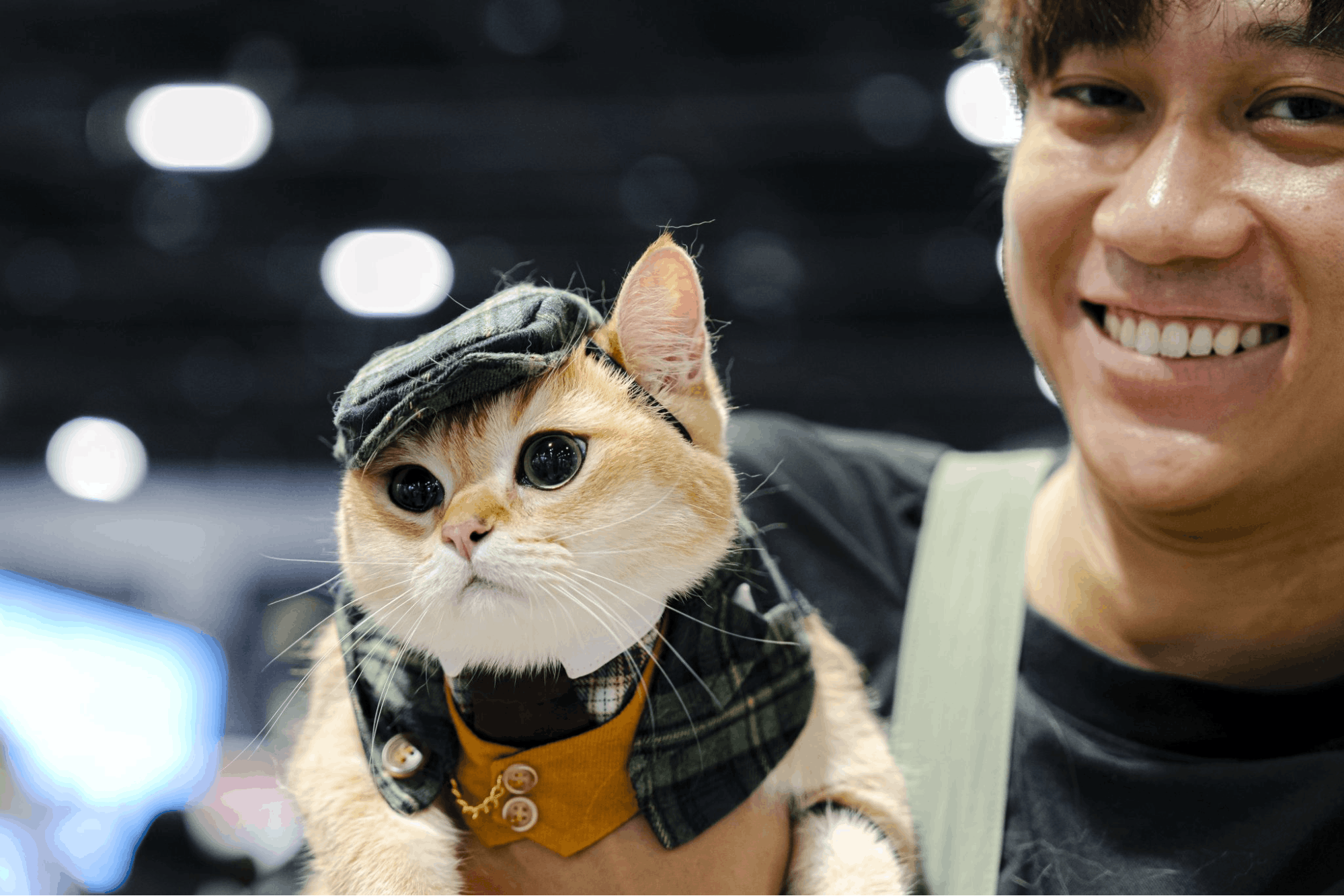 Cat in costume