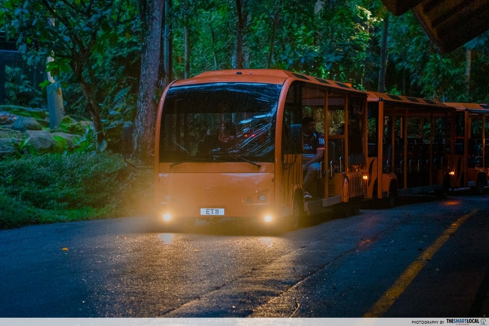 Night Safari tram