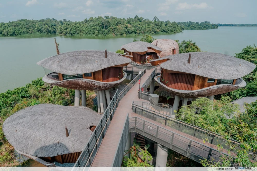 Mandai Treehouse Suites