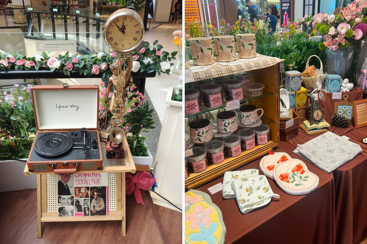 the garden at sks city mall - photo spots