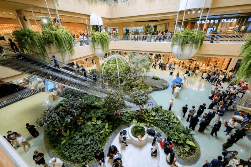 Central Northville - Bangkok Mall indoor forest