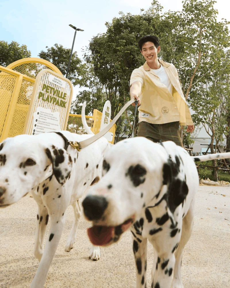 Central Northville - Bangkok Mall pet ville