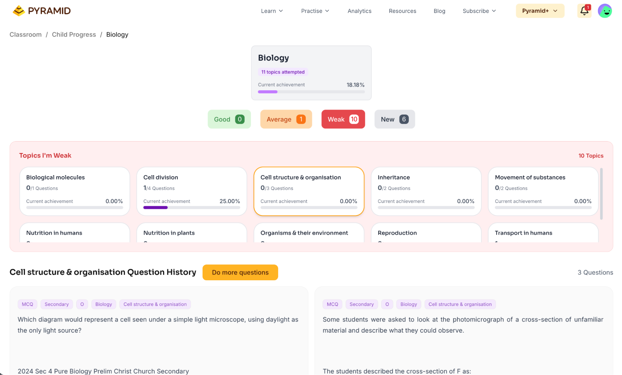 Pyramid AI Analytics
