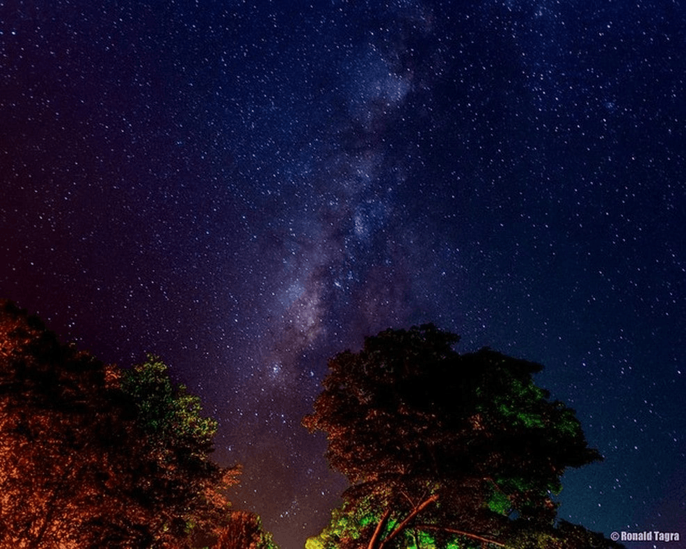 Southern Delta Aquariids Meteor Shower - dark sky