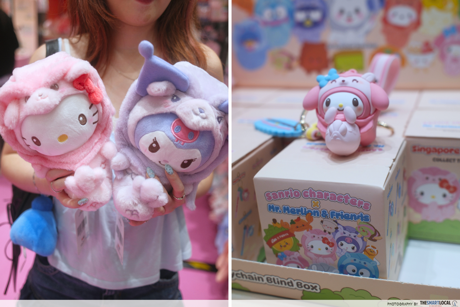 Plushies & blind boxes