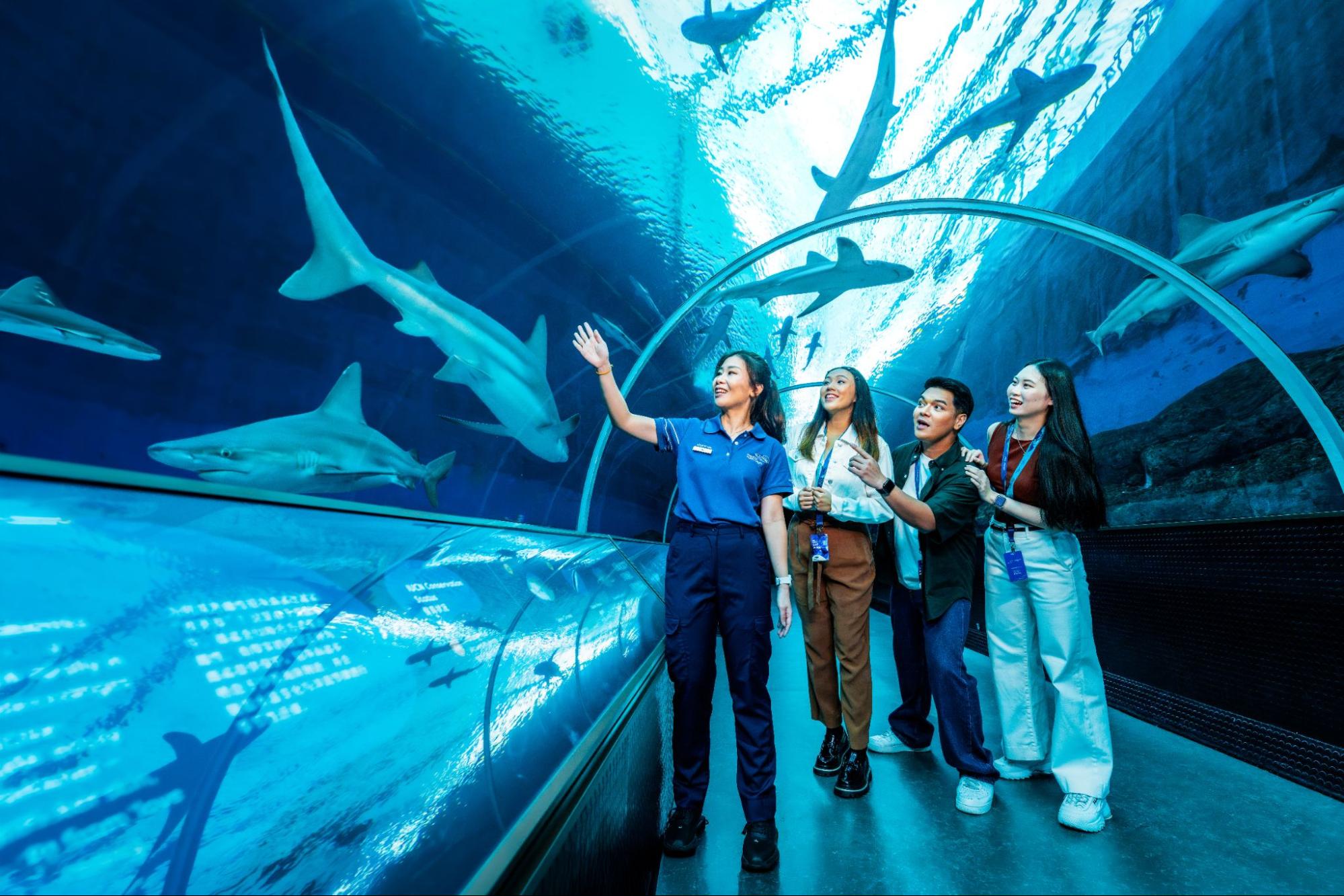 Ocean in Focus: Apex Predators