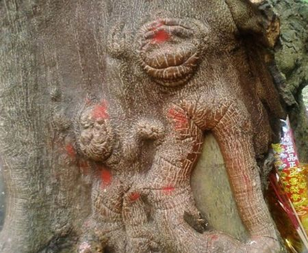 Monkey God Tree