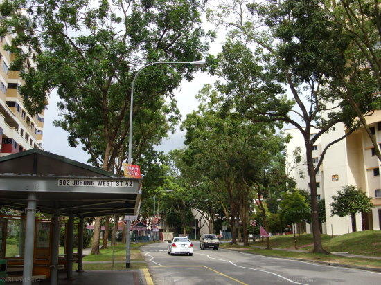 Jurong West Street 42