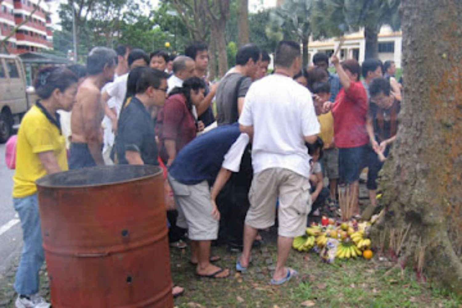 Worshippers of Monkey God Tree