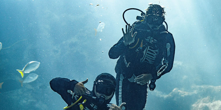 Diver